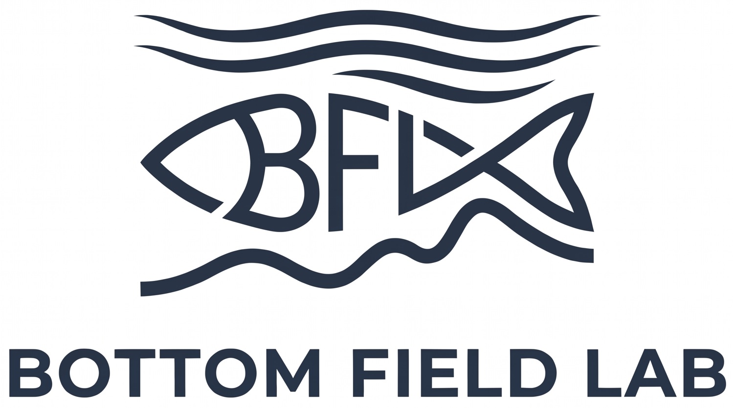 BOTTOM FIELD LAB Logo